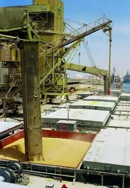 Mechanischer Schiffsentlader im Laderaum mit Getreide